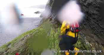 Puppy saved by RNLI after fall from 60ft coastal ledge
