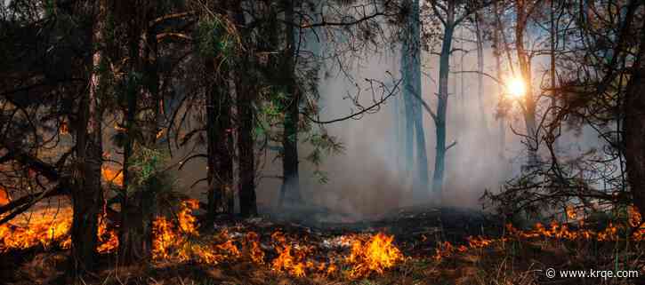 '100 Mile Pasture' fire burns 464 acres in Mora County