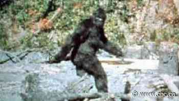 A quest for Bigfoot: New conference in the B.C. Interior celebrates the legendary giant