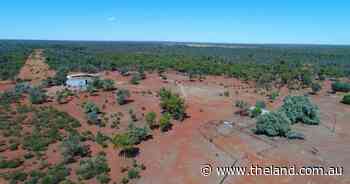 One, two - suddenly it's 39,000 acres