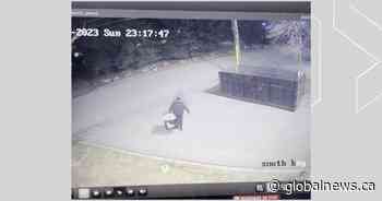 Alberta pet shelters seeing more and more pets abandoned at their doors