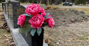 ‘A beautiful process’: Cremation company wants to make aquamation legal in Alberta