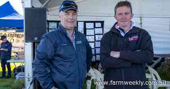 Mingenew expo returns to normal format