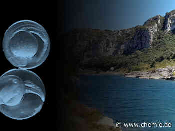 Giftigkeit von Medikamenten in Gewässern hängt auch vom Säuregehalt ab