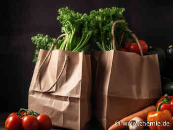 Stärkere Papiertüten, die mehrfach wiederverwendet und dann zur Herstellung von Biokraftstoff recycelt werden, könnten die Zukunft sein