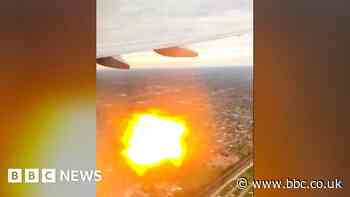 US plane engine splutters flames after bird collision