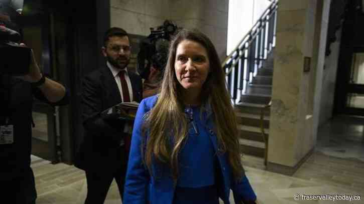 Liberal, Conservative campaign operatives to testify on foreign election meddling