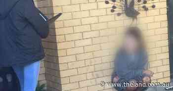 Riverina woman avoids jail time over $60,000 mouse plague fraud