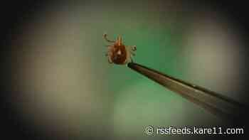 Experts say the long and snowy winter won't help us this tick season