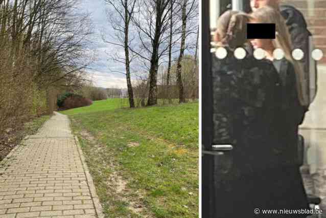 Gelokt met seks voor ze toesloeg met zware betonklinker: zeven jaar cel voor moordpoging op ex-vriendje