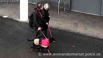 CCTV released after child bitten by dog