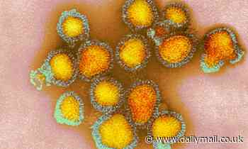 Now be prepared for DOG FLU! Mutated form of avian influenza is 'creeping' towards infecting humans