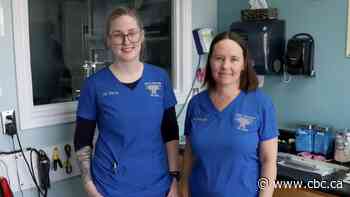 N.S. veterinarians say they're buckling under pressure. Can a change in rules help?