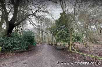 Police search for squirrel and bird 'killing' youths in Wirral