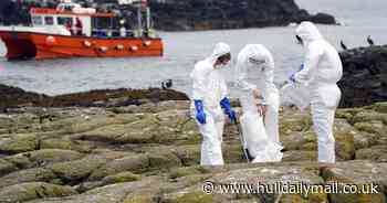 Farne Islands closed until end of August after bird flu outbreak