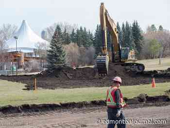 More than 700 trees at risk in Edmonton’s Hawrelak Park renewal: report