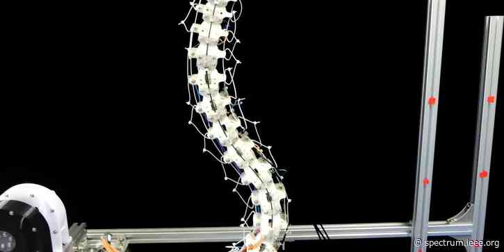 Ostrich-inspired robot gives its neck a stretch