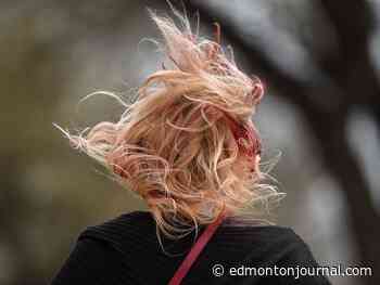 Edmonton weather: A bit rainy and a lot windy