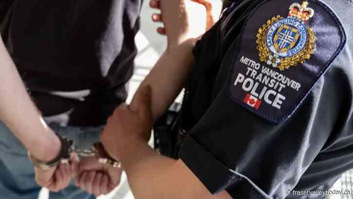 Surrey SkyTrain stabbing suspect who is known to police arrested, released already