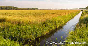 Court issues another blow to WOTUS