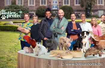 Tierische Sommernachmittage im Ersten: ARD zeigt "Die Haustierprofis" mit Moderator Ralph Morgenstern