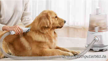 Eufy Clean N930: Anker bringt Staubsauger für Haustiere