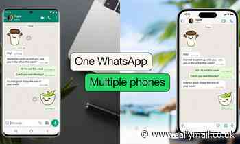 WhatsApp trick lets you use the same account across MULTIPLE smartphones - here's how
