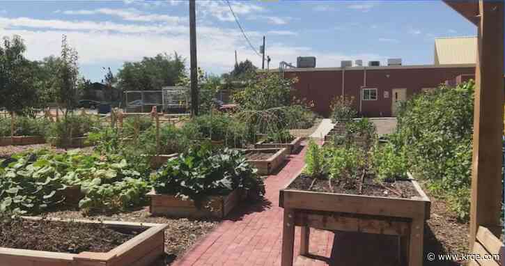 PNM delivers free mulch to support Albuquerque food pantry