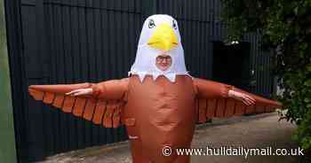 Zoo recruiting human 'seagull deterrents' to run around in bird costumes