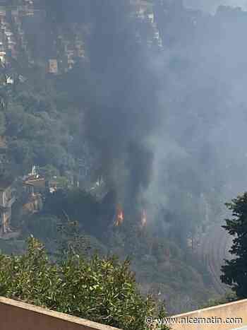 Un feu de végétaux en cours sentier des Douaniers à Roquebrune-Cap-Martin