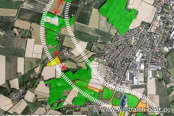 Lückenschluss bei Waldbrücke in Borgholzhausen