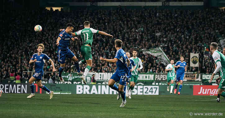 Ein Schalker Rückrunden-Aufwind