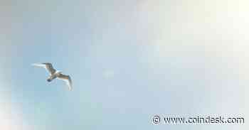 Twitter Ends Legacy Blue Checks and Bluesky Emerges as a Decentralized Alternative