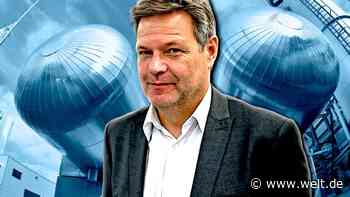 Schlüssel zur Klimaneutralität? Habecks Kehrtwende gegen grüne Bedenken