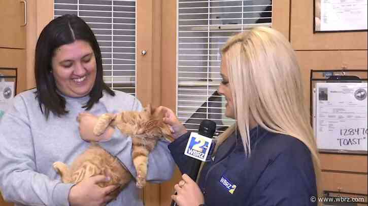 Get a hands-on animal experience at Companion Animal Alliance's summer camp