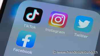 Für diese Social-Media-Plattformen gelten ab Sommer strengere EU-Vorschriften