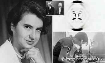 Rosalind Franklin was an equal contributor to the discovery of DNA's structure