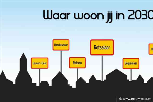 Leuven-Oost, Rotselo of Begijnenlaar? Burgerbeweging wil inwoners inspraak geven in eventuele fusie