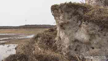 Dirty spring snow carries more than dirt. There are also other pollutants we can't see