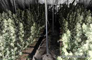 POL-OB: Dealerring gesprengt