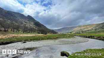 How 'rewiggling' Swindale Beck brought its fish back