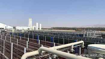 Eine Lösung für die Hungerkrisen der Zukunft