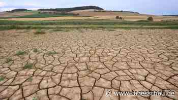Klimawandel könnte Inflation weiter antreiben
