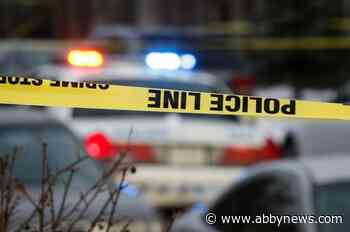 Mental-health services come too late, B.C. experts say, after uptick in violence