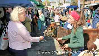 So war es beim Frühlingsmarkt in Heiningen