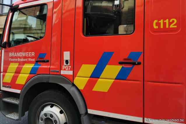 Koerierbedrijf DPD even ontruimd voor lek in bus haarlak