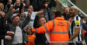 Newcastle United supporters hand out ratings for 'perfect' Joelinton and teammates after Spurs rout