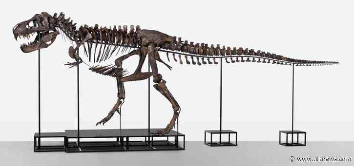 Belgian Art Foundation Buys $6 M. T. Rex Skeleton