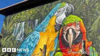 Giant parrots painted on Peterborough 'bird man's' house