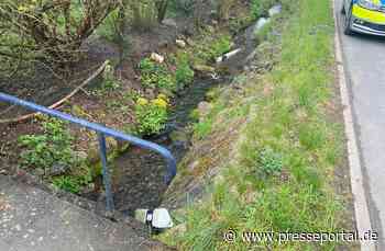 LPI-SLF: Randalierer in Schalkau unterwegs - Zeugen gesucht